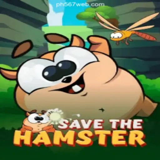 Discover 'SavetheHamster': A New Frontier in Online Gaming